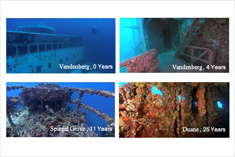 Benefits of artificial reefs and comparison to natural coral reefs
